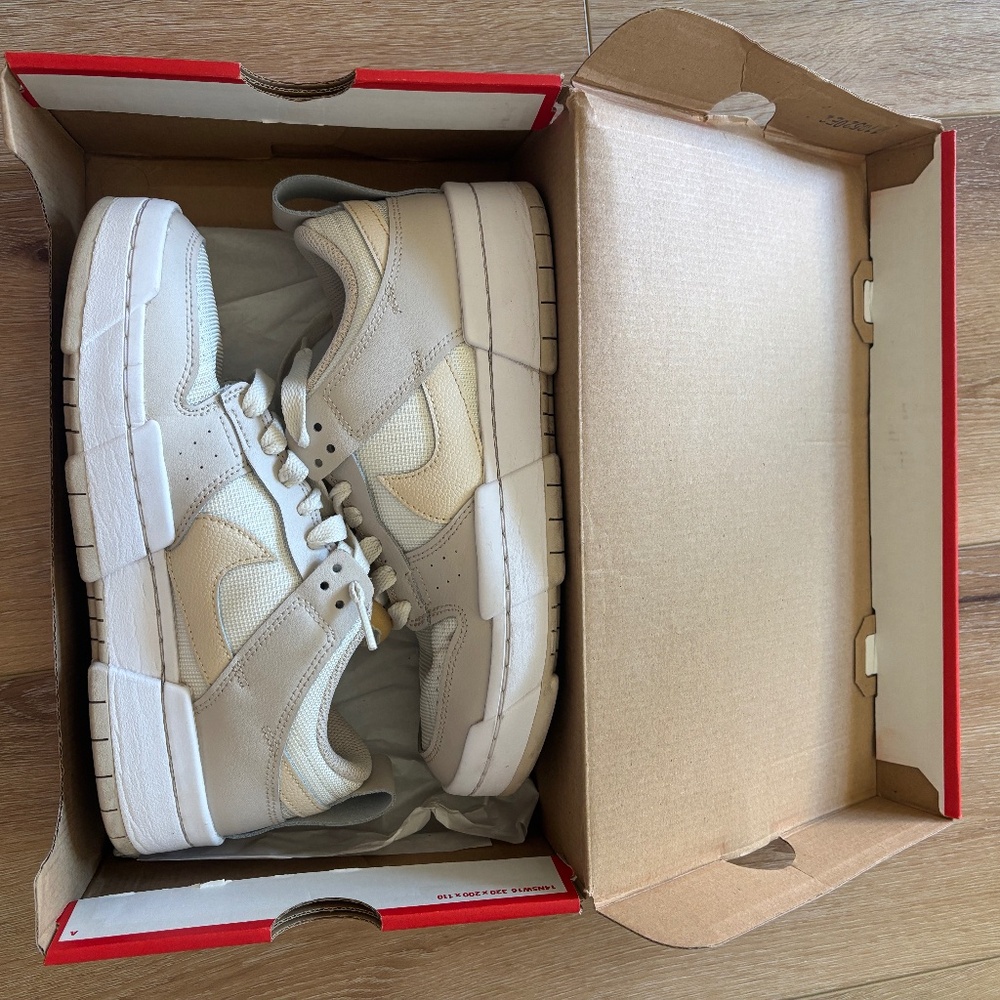 Nike dunk low disrupt
